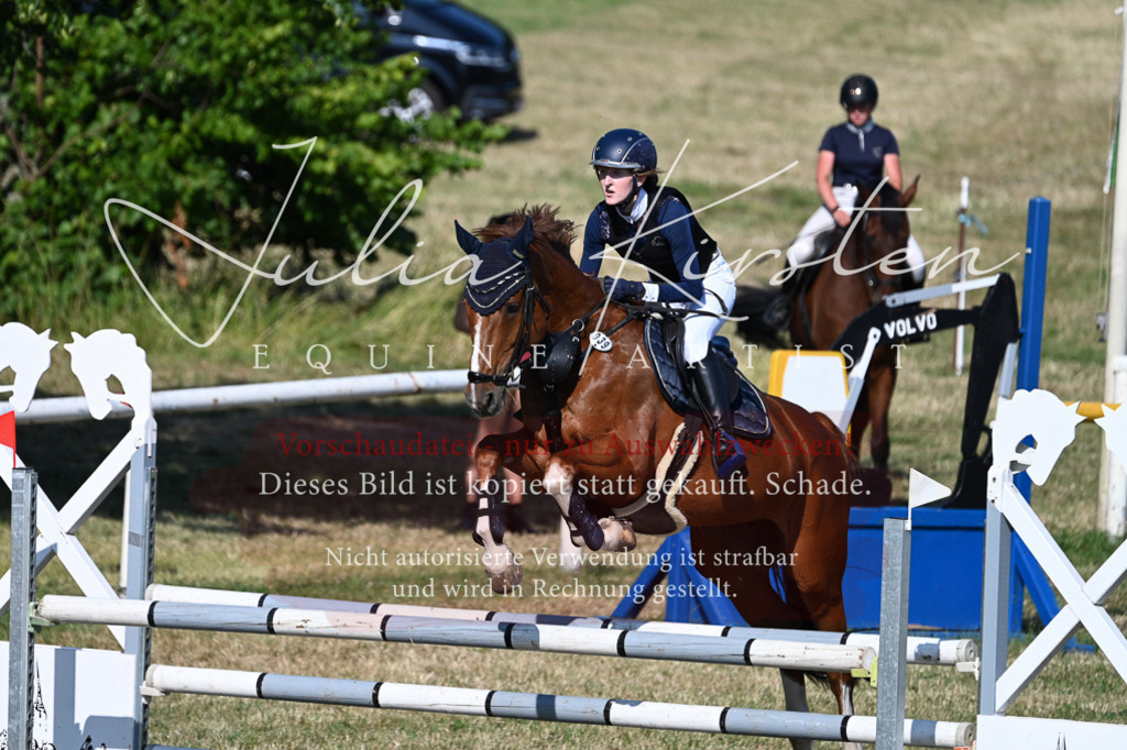 DSC_2342 | Pferde- und Turnierfotografie in Westsachsen. Pferdeportraits, Auftragszeichnungen und intuitive Kunst.