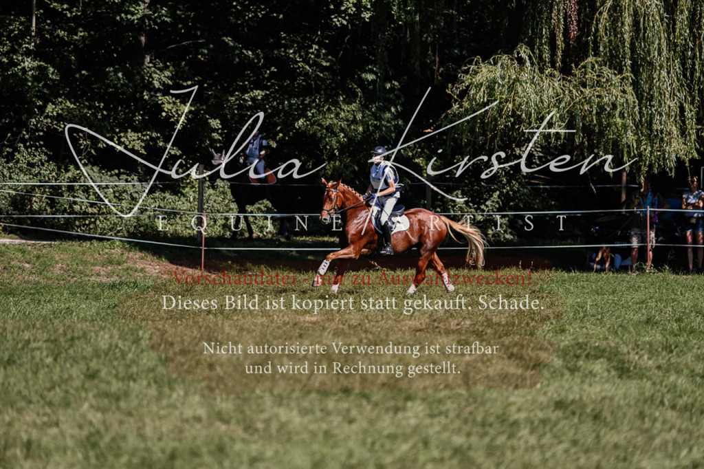 DSC_1331 | Pferde- und Turnierfotografie in Westsachsen. Pferdeportraits, Auftragszeichnungen und intuitive Kunst.