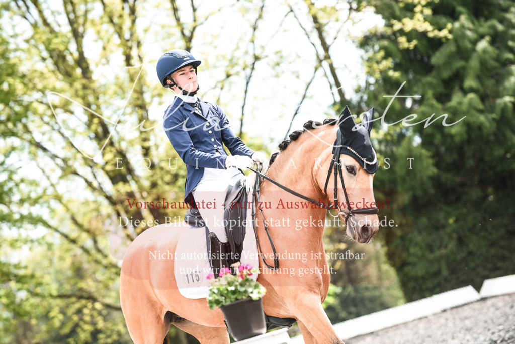 20230514_JK-Röhrsdorf-24-330 | Pferde- und Turnierfotografie in Westsachsen. Pferdeportraits, Auftragszeichnungen und intuitive Kunst.