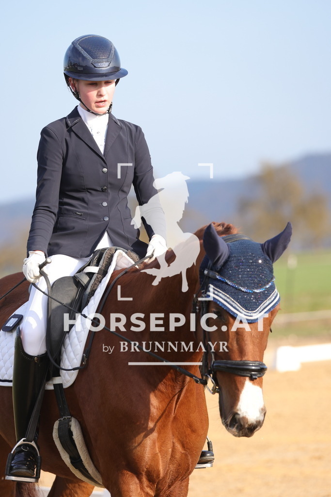 0P6A5966 | Willkommen bei Brunnmayr - Design & Fotografie – Ihrem Spezialisten für Reitturniere und Pferdeveranstaltungen in Oberösterreich, Salzburg und Bayern! Seit über 17 Jahren sind wir leidenschaftlich dabei.