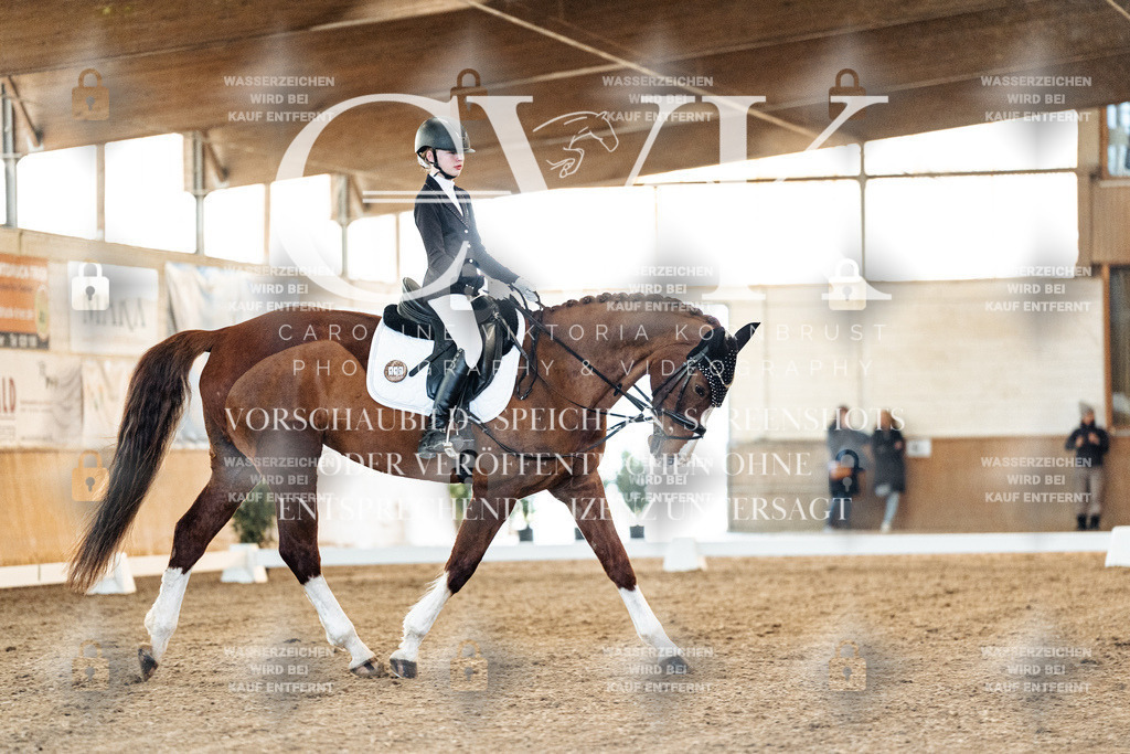 CK906699 | Turnierfotografie Pferdefotografie Trier Rheinland-Pfalz Pferdesport Reitsport Tierfotografie Sportfotografie Pferdevideo Pferdevideografie Equestrianvideography equestrianphotography  - Realisiert mit Pictrs.com