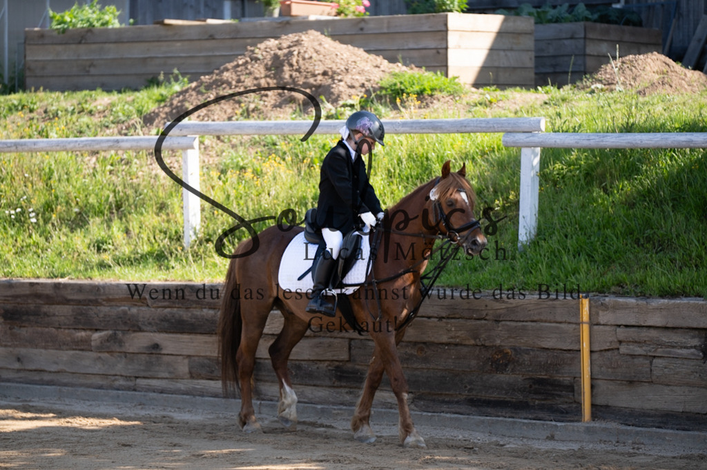 A7V07575 | Pferdefotograf