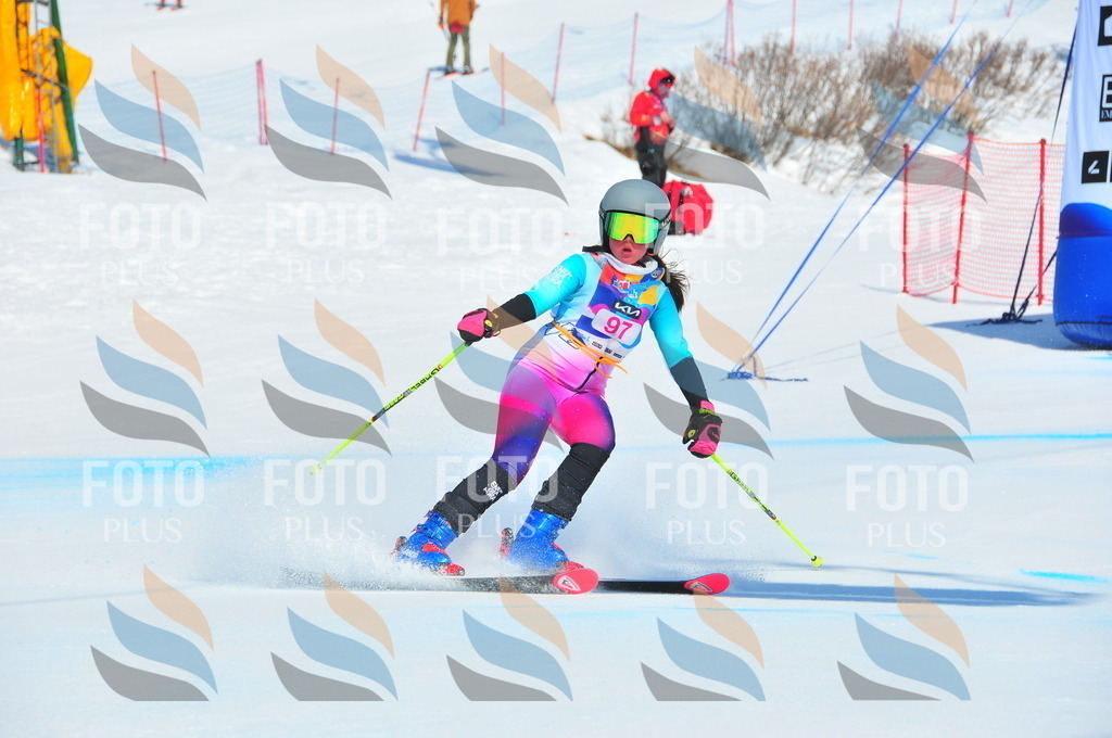 DSC_4564 | holidayphoto