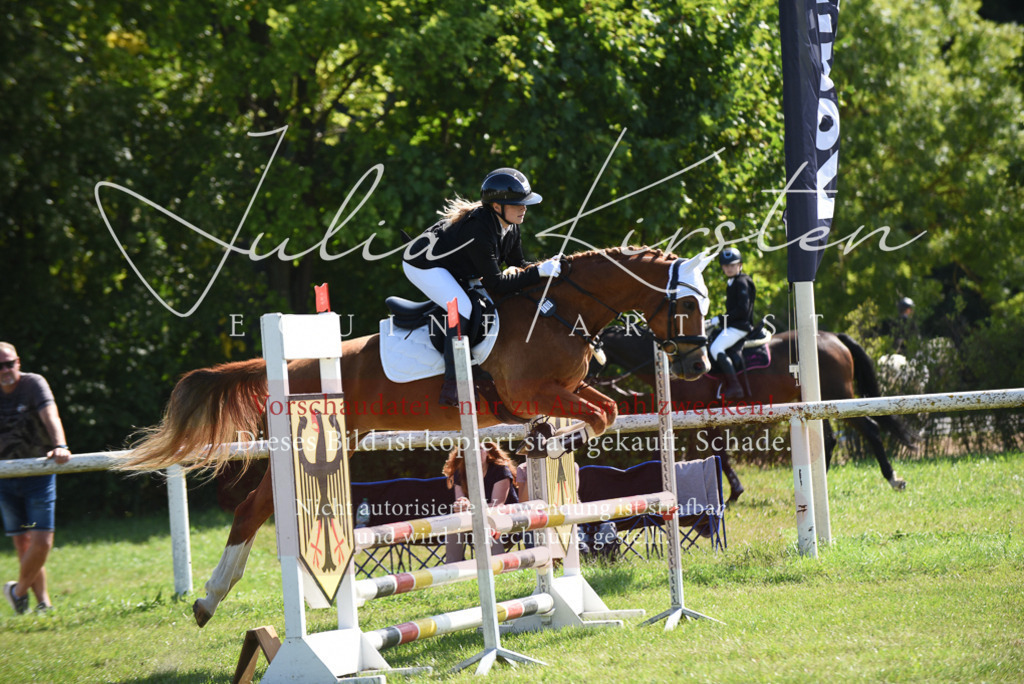 DSC_9125 | Pferde- und Turnierfotografie in Westsachsen. Pferdeportraits, Auftragszeichnungen und intuitive Kunst.