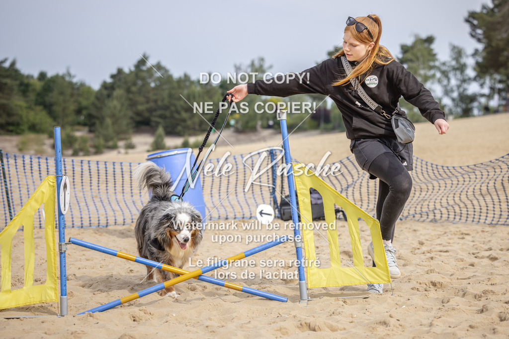 nelerasche_BuHu2026_So09-10_131 | nelerasche