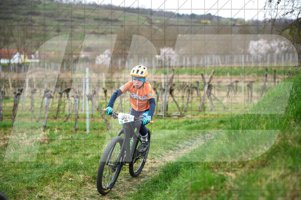 34. KTM Kamptal Trophy  | ZÖBING, Österreich – 2026-03-28: 34. KTM Kamptal TrophyFoto: © 2026 Martin Bihounek - MB Creative e.U.