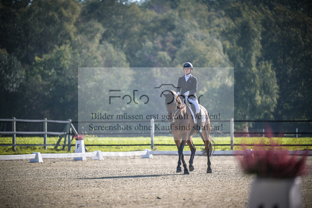 DOS_0048 | Entdecke hochwertige Reitturnierfotos von Foto Oger. Professionell, emotional und authentisch – jetzt Lieblingsmomente im Shop bestellen.Deutschlandweite Turnierfotografie. - Realisiert mit Pictrs.com