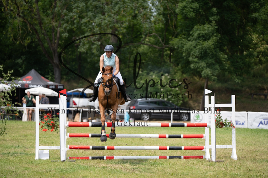 A7V06952 | Pferdefotograf