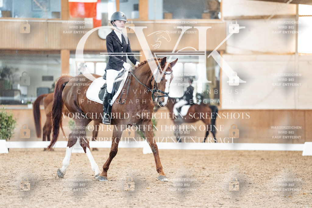 CK908540 | Turnierfotografie Pferdefotografie Trier Rheinland-Pfalz Pferdesport Reitsport Tierfotografie Sportfotografie Pferdevideo Pferdevideografie Equestrianvideography equestrianphotography  - Realisiert mit Pictrs.com