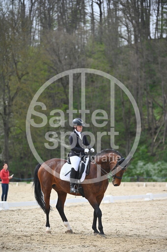 DSC_4959 | sattelsport - Realisiert mit Pictrs.com