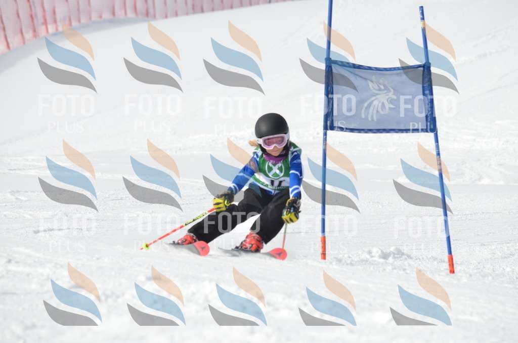 D8564 | holidayphoto