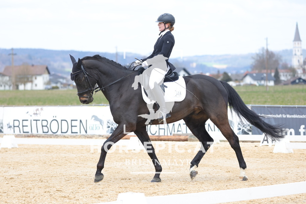 0P6A7065 | Willkommen bei Brunnmayr - Design & Fotografie – Ihrem Spezialisten für Reitturniere und Pferdeveranstaltungen in Oberösterreich, Salzburg und Bayern! Seit über 17 Jahren sind wir leidenschaftlich dabei.
