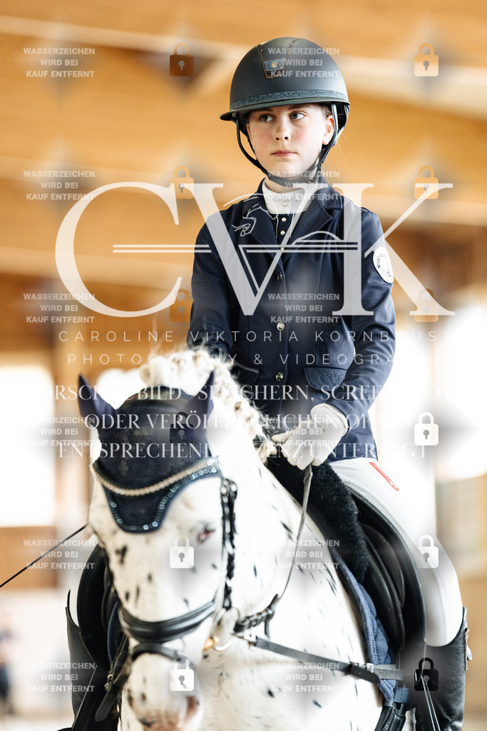 CK901468 | Turnierfotografie Pferdefotografie Trier Rheinland-Pfalz Pferdesport Reitsport Tierfotografie Sportfotografie Pferdevideo Pferdevideografie Equestrianvideography equestrianphotography  - Realisiert mit Pictrs.com