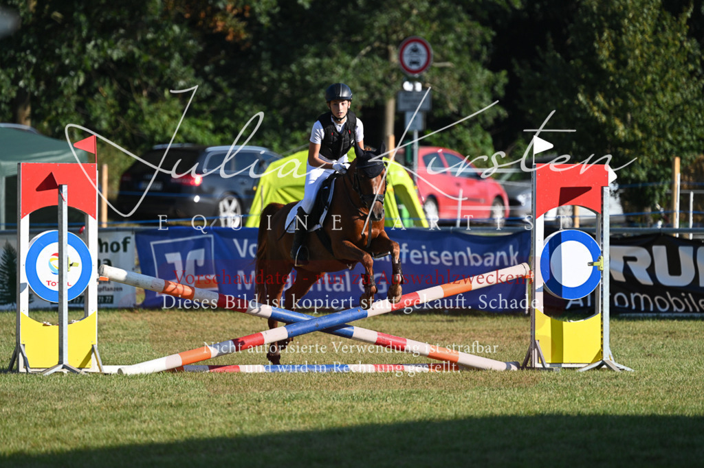 DSC_4796 | Pferde- und Turnierfotografie in Westsachsen. Pferdeportraits, Auftragszeichnungen und intuitive Kunst.