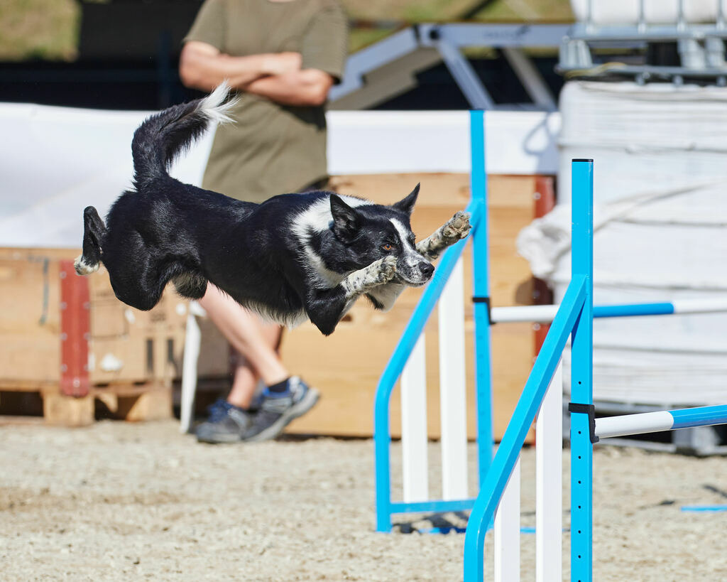 580A0175 | Peter Fridle Fotografie - Realisiert mit Pictrs.com