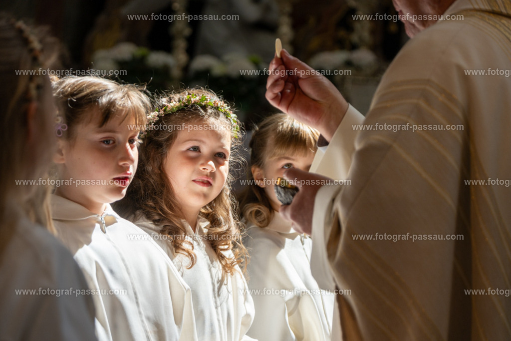 A7V02823 | Hier finden Sie die Online Foto-Galerie von fotograf-passau.com und marius-handrugan.de. Suchen Sie sich direkt Ihre Lieblingsbilder aus, ob als Ausdruck oder Download. - Realisiert mit Pictrs.com