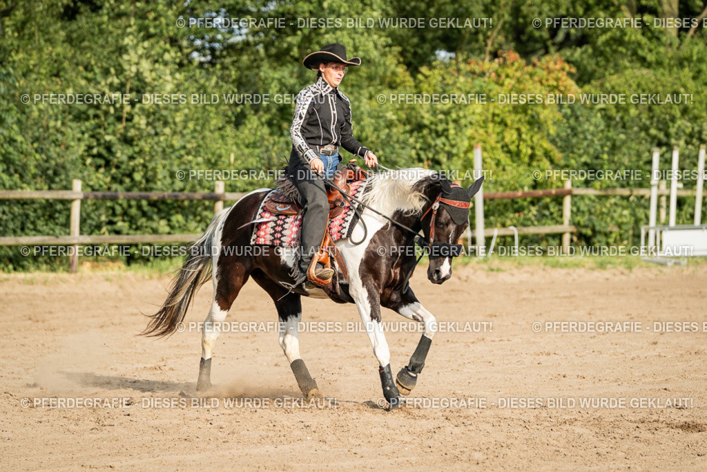 DSC05542 | Pferdegrafie