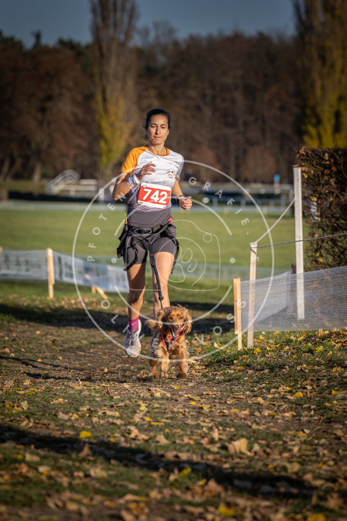 CaniXpix_DV3A2287 | Hundefotografie, Tierfotograf, Pfotenfotografie, Fotoshooting Hund, Hunde Portrait, Hundesport, Hundeportraits, Heideshooting, Hunde, Sportfotograf, Hundefotograf, Turnierhundsport, THS,  - Realisiert mit Pictrs.com