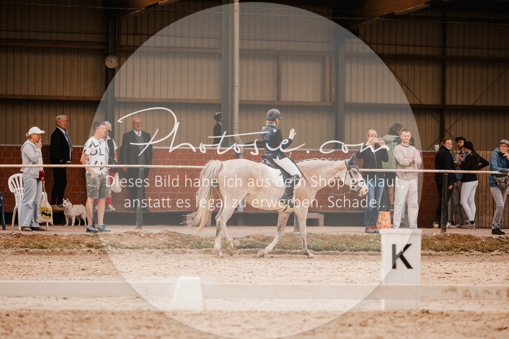 3I6A6195 | Stimmungsvolle Portraits und Reitsportfotografie im Ruhrgebiet und im Münsterland.

Pferdefotografie, Hundefotografie, Tierfotografie, Reportagen, Portraits von Tier und Mensch, Turnierfotografie in Bochum, Recklinghausen, Marl, Haltern am See, Dülmen.. - Realisiert mit Pictrs.com