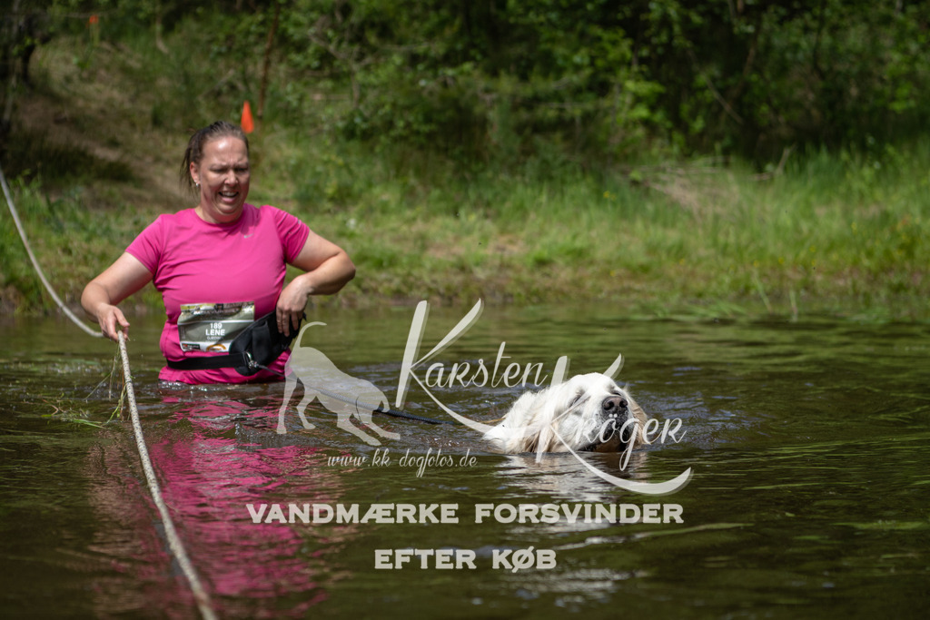 1223DKK992709 | kk-dogfotos