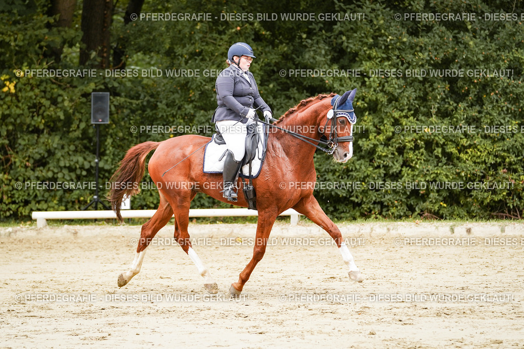 DSC03134 | Pferdegrafie