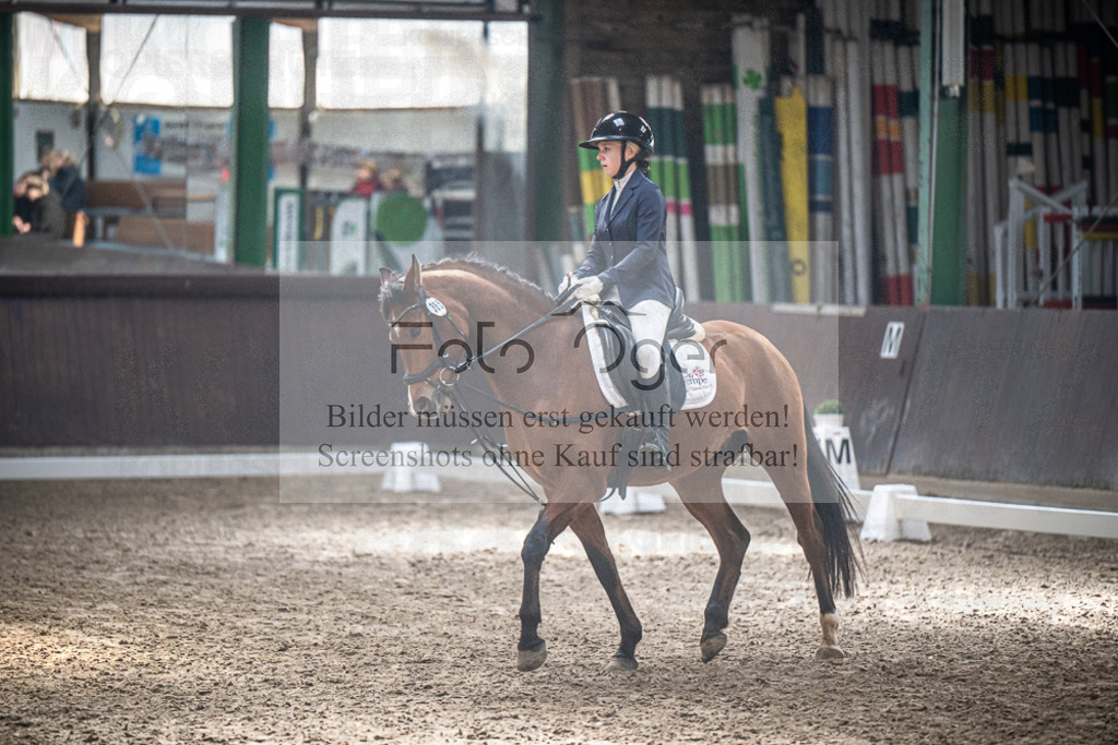 DOS_1026 | Entdecke hochwertige Reitturnierfotos von Foto Oger. Professionell, emotional und authentisch – jetzt Lieblingsmomente im Shop bestellen.Deutschlandweite Turnierfotografie. - Realisiert mit Pictrs.com