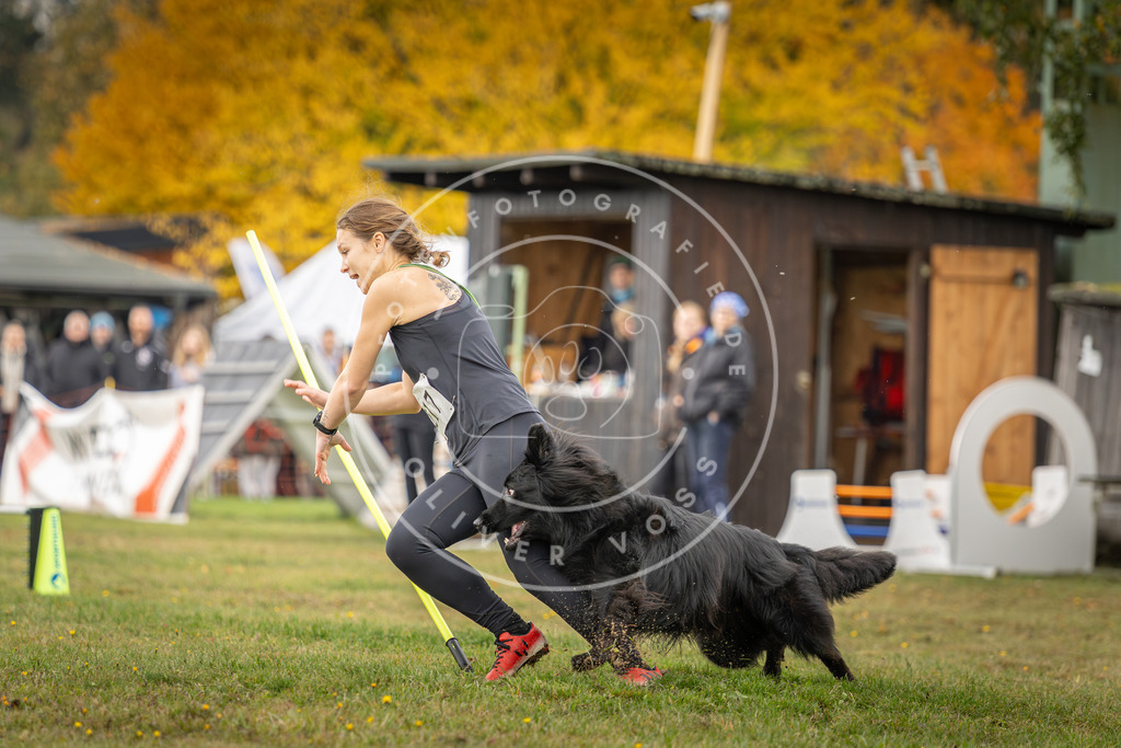 Pfotenfotografie_DV3A2970 | Hundefotografie, Tierfotograf, Pfotenfotografie, Fotoshooting Hund, Hunde Portrait, Hundesport, Hundeportraits, Heideshooting, Hunde, Sportfotograf, Hundefotograf, Turnierhundsport, THS,  - Realisiert mit Pictrs.com