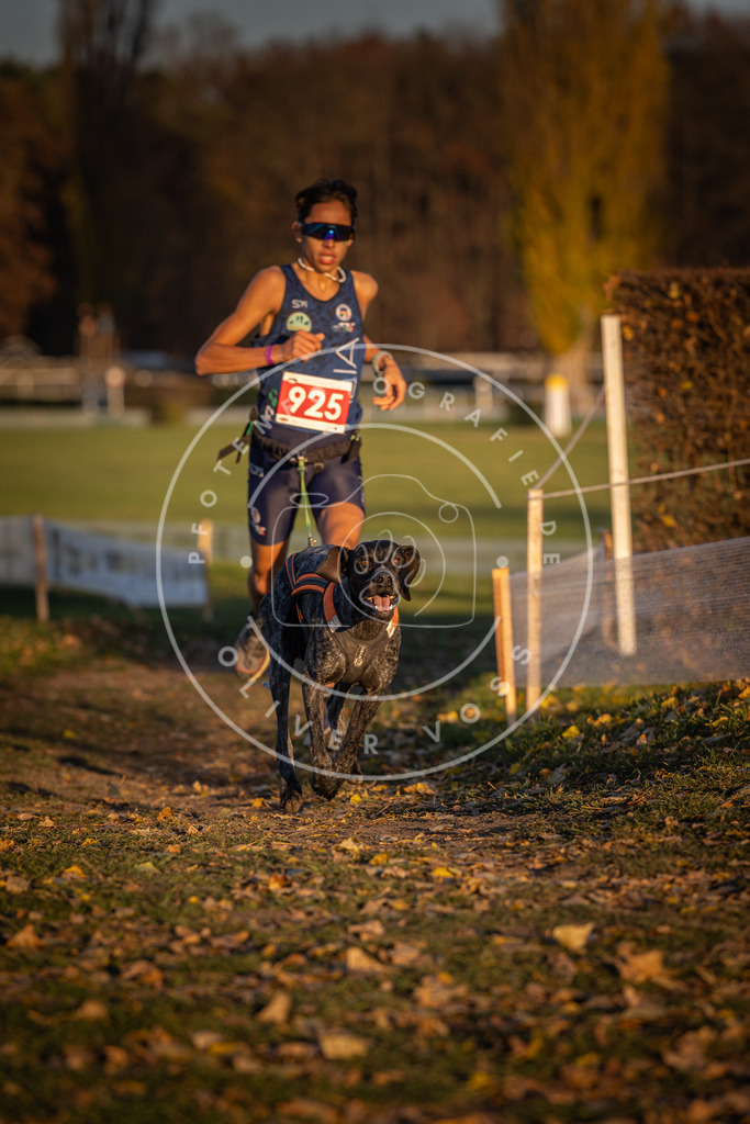 CaniXpix_DV3A5021 | Hundefotografie, Tierfotograf, Pfotenfotografie, Fotoshooting Hund, Hunde Portrait, Hundesport, Hundeportraits, Heideshooting, Hunde, Sportfotograf, Hundefotograf, Turnierhundsport, THS,  - Realisiert mit Pictrs.com