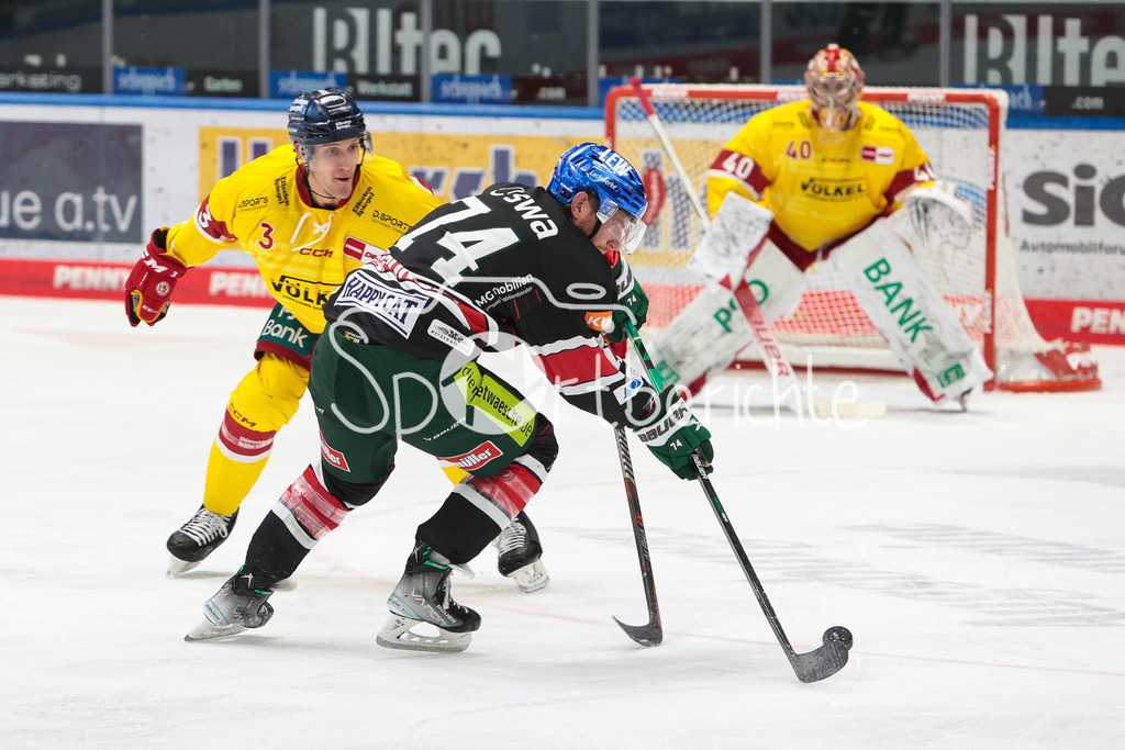 Augsburger Panther - Duesseldorfer EG | Vincent SAPONARI (AEV #74) im Duell mit Alec MCCREA (DEG #3)