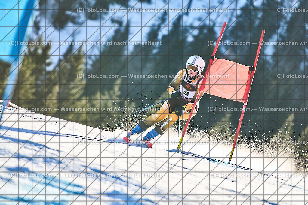 ALP1404_FIS-MastersCup_Reiteralm_Giant-SL_Franke-Williams Marg | FIS-MastersCup GIANT-SLALOM auf der Reiteralm in Pichl, Sa 18. Jänner 2025.