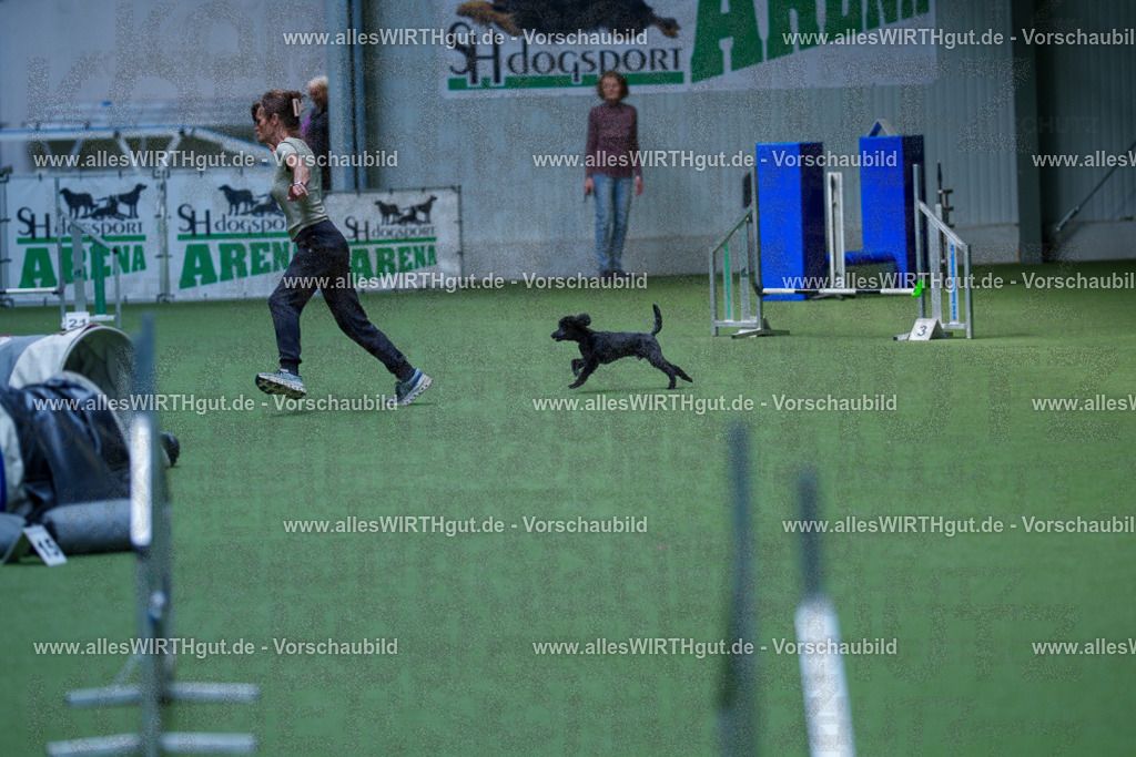 @allesWIRTHgut_Tierfotografie - www.allesWIRTHgut.de - 2604261332-7R502093 | Professionelle Tierfotografie in Mönchengladbach von Daniel Wirth (allesWIRTHgut). Liebevolle & natürliche Bilder von Hunden & Katzen für unvergessliche Erinnerungen.
