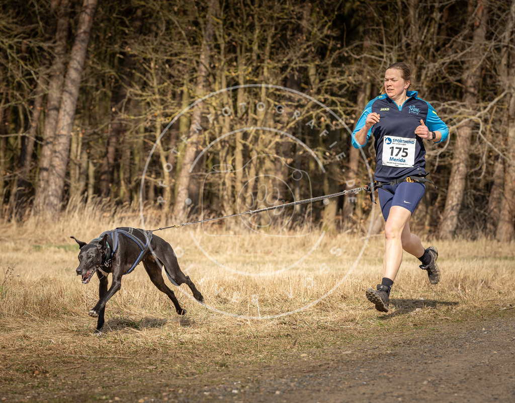 DV3A5643 | Hundefotografie, Tierfotograf, Pfotenfotografie, Fotoshooting Hund, Hunde Portrait, Hundesport, Hundeportraits, Heideshooting, Hunde, Sportfotograf, Hundefotograf, Turnierhundsport, THS,  - Realisiert mit Pictrs.com