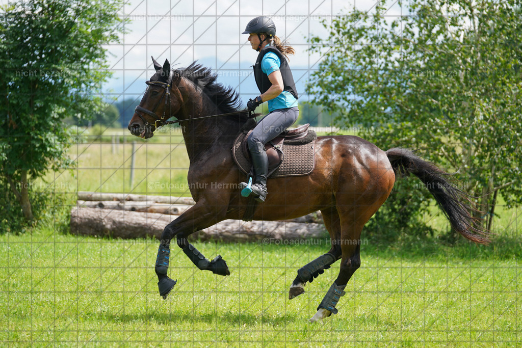 20240622-FAH07601 | Turnierfotografen Bayern, Reitsportbilder aus dem Geländekurs mit Felix Etzel auf dem Gut Waitzacker 2024