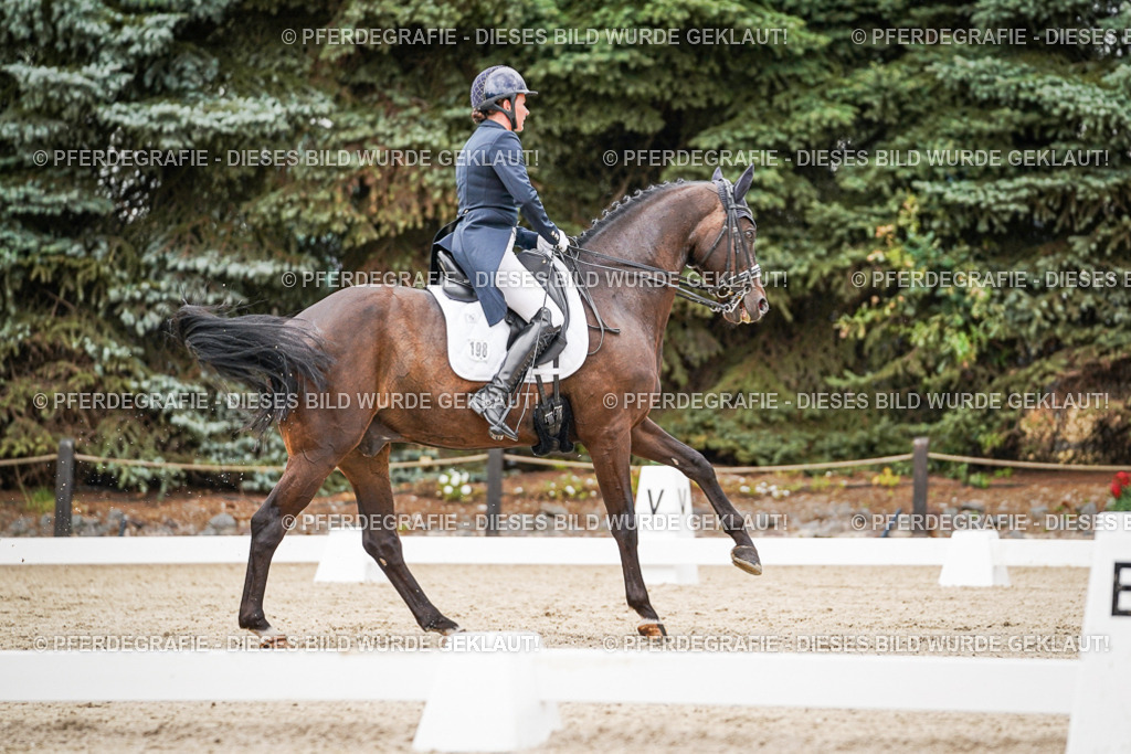 DSC07454 | Pferdegrafie