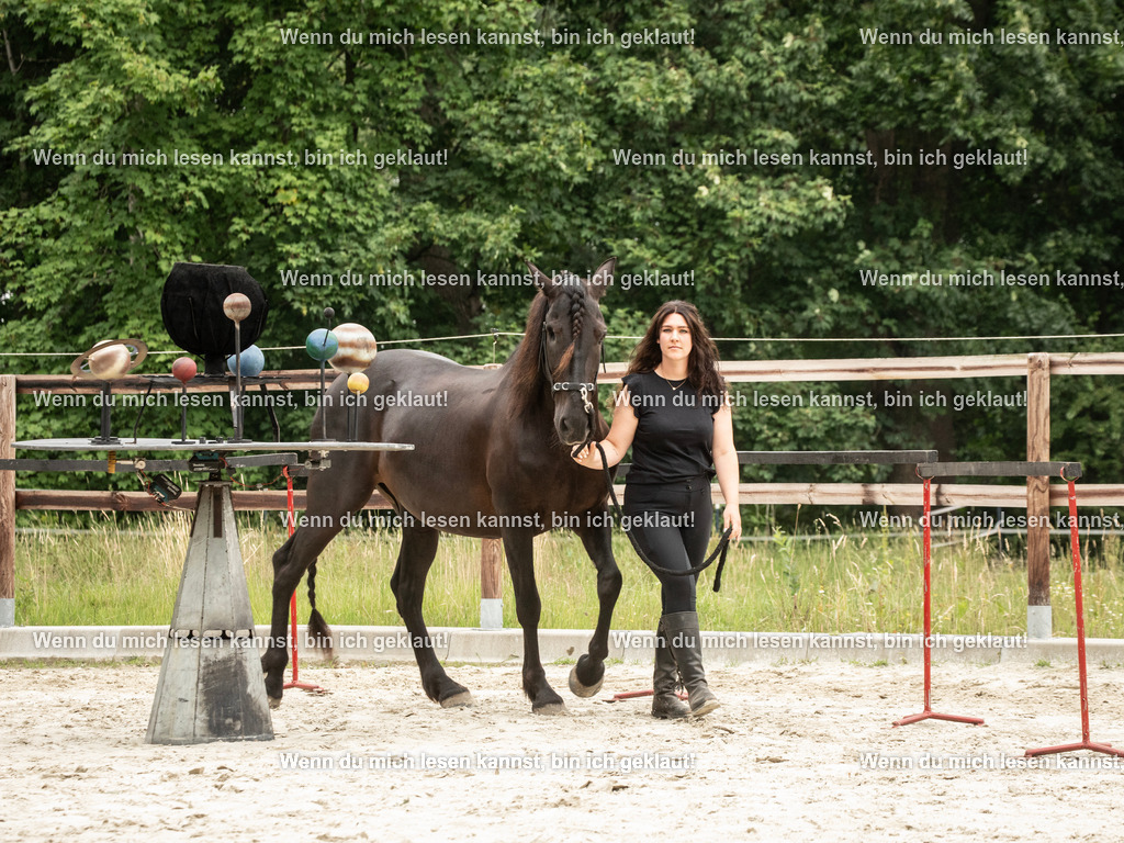 598A6578 | photographylinaismer - Realisiert mit Pictrs.com