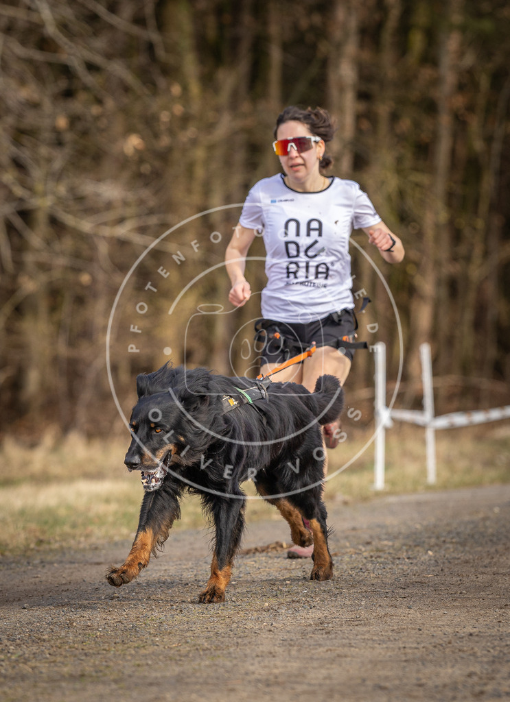 DV3A3630 | Hundefotografie, Tierfotograf, Pfotenfotografie, Fotoshooting Hund, Hunde Portrait, Hundesport, Hundeportraits, Heideshooting, Hunde, Sportfotograf, Hundefotograf, Turnierhundsport, THS,  - Realisiert mit Pictrs.com