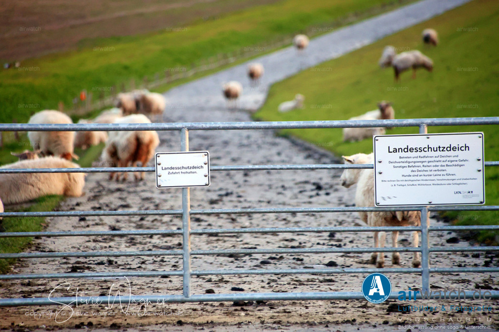 Nordsee, Nordfriesland, Beltringharderkoog, Luettmoorsee, Holmer Siel | Nordsee Sonnenuntergang Wattenmeer - Der Sonnenuntergang über dem Wattenmeer ist ein spektakulärer Anblick, der oft bei Ebbe bestaunt wird. Hier sind einige Orte, an denen Sie den Sonnenuntergang über dem Wattenmeer erleben können: Beltringharderkoog, Luettmoorsee, Holmer Siel