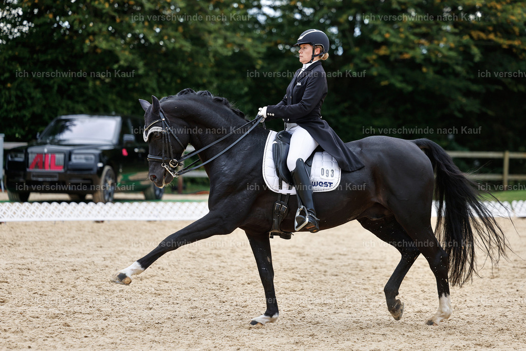 11-093-Dressur S___-StoibPH-1353 | working equitationturnier fotograf videograf stoibphotography marixx film working equitation deutschland reitsport turnierfotografie eventfotografie equestrian events