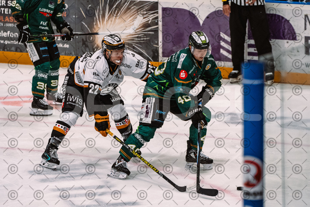 Alligators_vs_Fuessen_27_09_2026-41 | Die Fotogalerie von Daddel: professionelle Bilder von Sport, Events und Unternehmen aus Franken. Jetzt Galerien durchstöbern und Lieblingsfotos bestellen. - Realisiert mit Pictrs.com