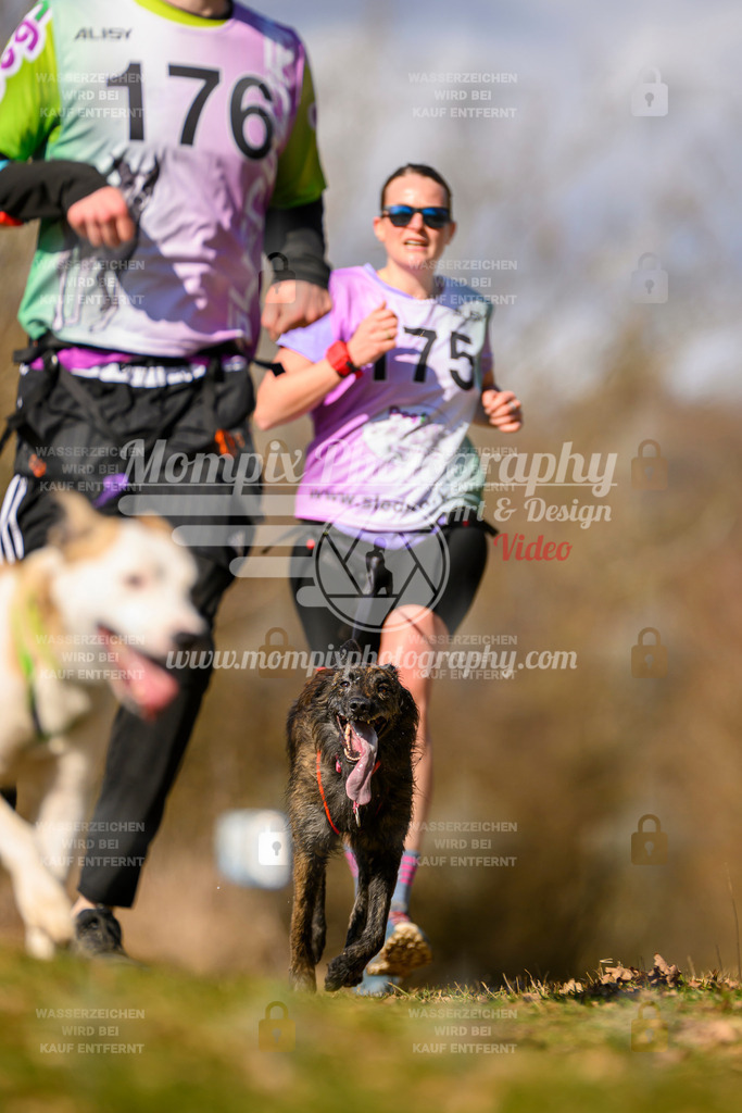MompixPhotography_10Schwabentrail2026_SO_Canicross-94 | PayLife