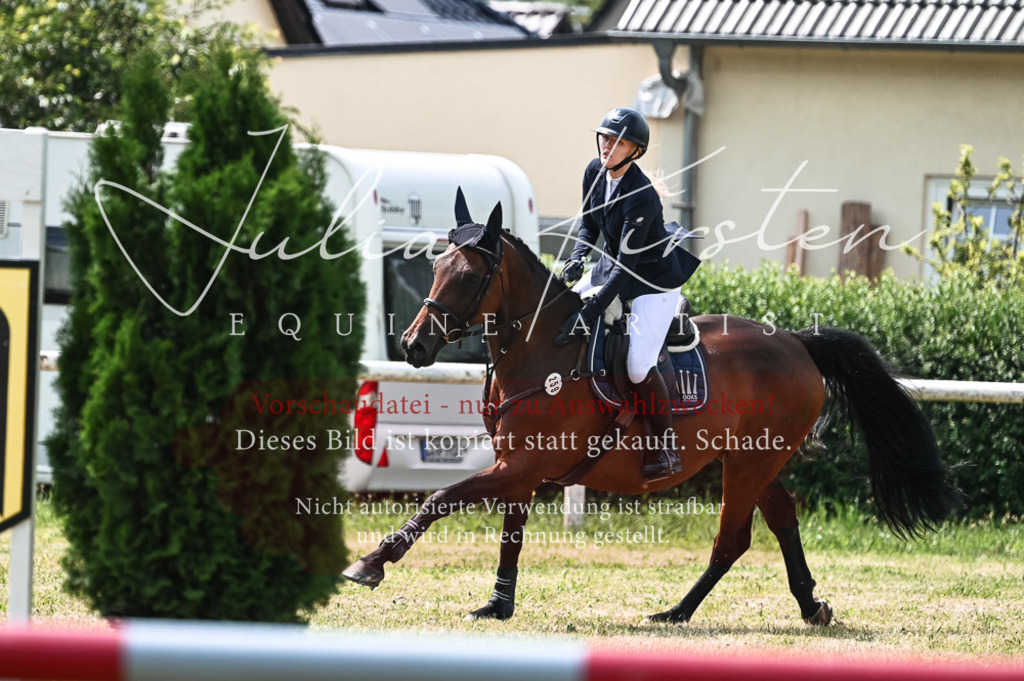 DSC_9120 | Pferde- und Turnierfotografie in Westsachsen. Pferdeportraits, Auftragszeichnungen und intuitive Kunst.