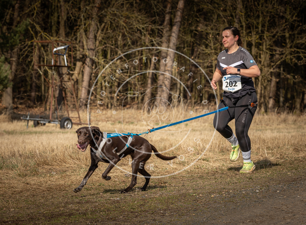 DV3A5895 | Hundefotografie, Tierfotograf, Pfotenfotografie, Fotoshooting Hund, Hunde Portrait, Hundesport, Hundeportraits, Heideshooting, Hunde, Sportfotograf, Hundefotograf, Turnierhundsport, THS,  - Realisiert mit Pictrs.com