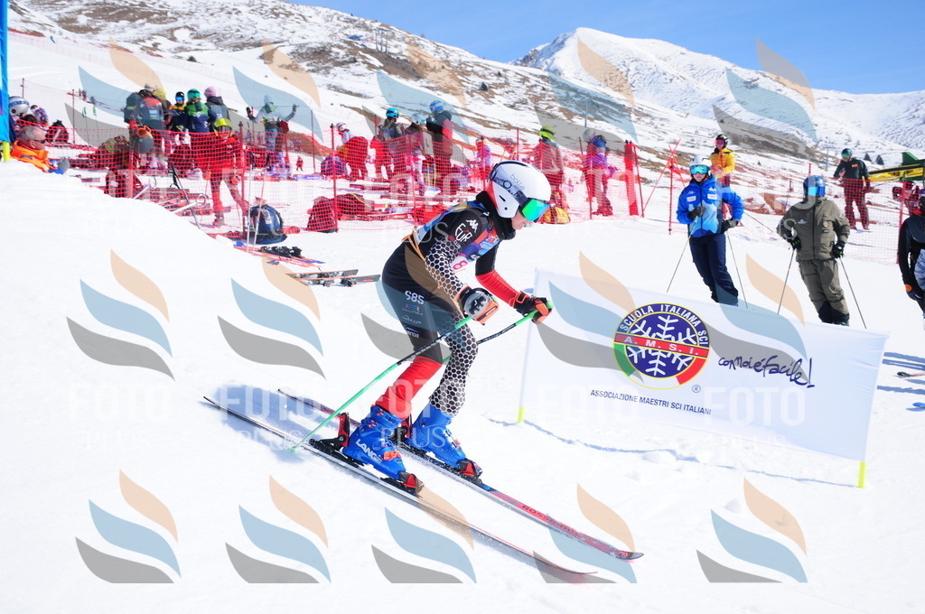 DSC_4528 | holidayphoto