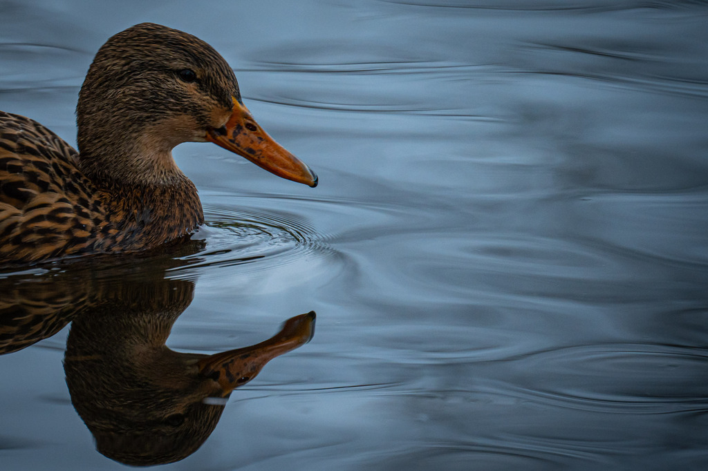 928F135F-2A83-4D8F-9F75-BA91C01E18E1 | <meta name="keywords" content="Bergbilder, Hochzeitsfotografie, Actionshootings, Fotografiearbeiten, Berglandschaften, Naturfotografie">

 - Realisiert mit Pictrs.com
