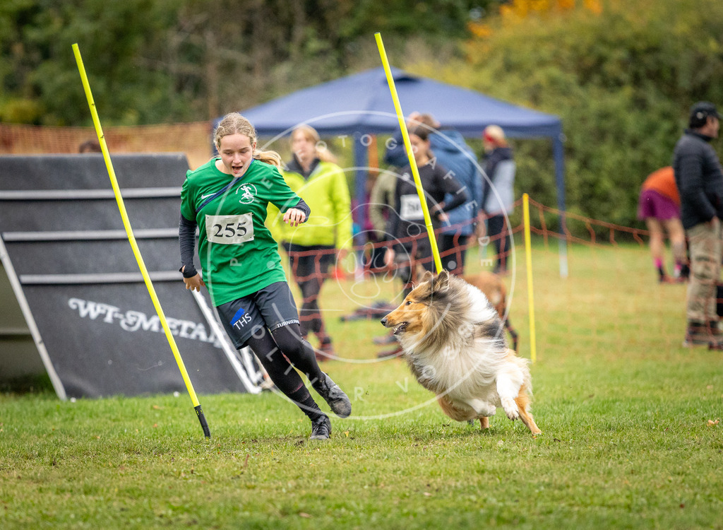 Pfotenfotografie_DV3A0630 | Hundefotografie, Tierfotograf, Pfotenfotografie, Fotoshooting Hund, Hunde Portrait, Hundesport, Hundeportraits, Heideshooting, Hunde, Sportfotograf, Hundefotograf, Turnierhundsport, THS,  - Realisiert mit Pictrs.com