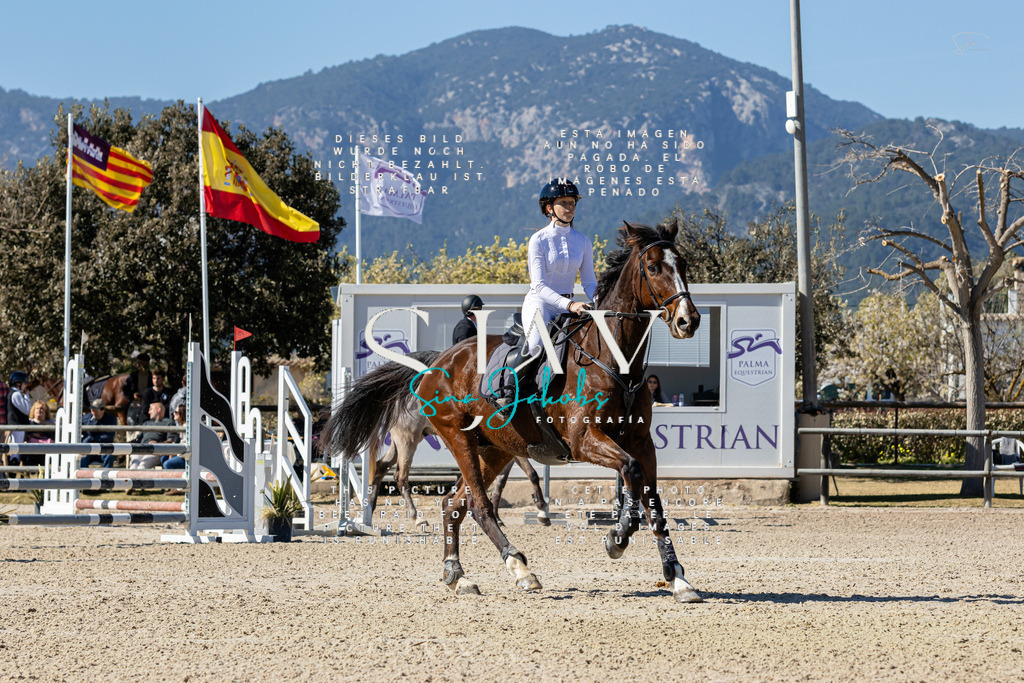 IMG_9892 | s-jay-photography - Realisiert mit Pictrs.com