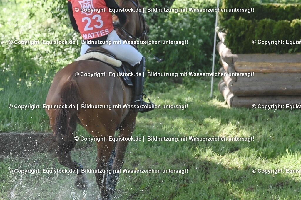 20250517_CCI2_Gelände_0724 | Foto: Thomas Hartig