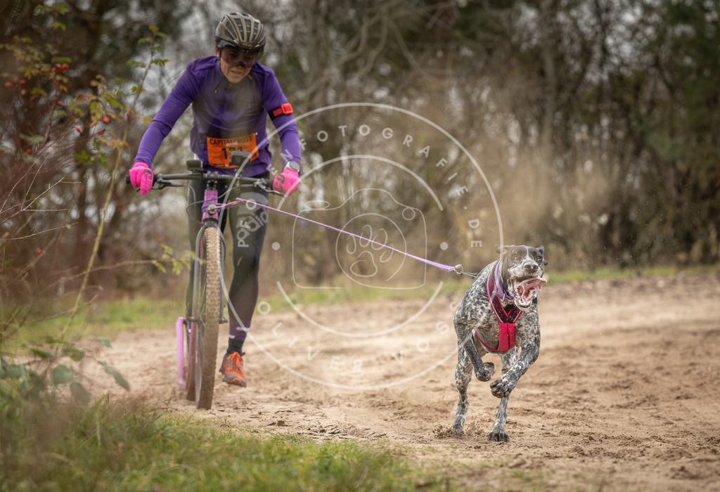Pfotenfotografie_DV3A9928 | Hundefotografie, Tierfotograf, Pfotenfotografie, Fotoshooting Hund, Hunde Portrait, Hundesport, Hundeportraits, Heideshooting, Hunde, Sportfotograf, Hundefotograf, Turnierhundsport, THS,  - Realisiert mit Pictrs.com