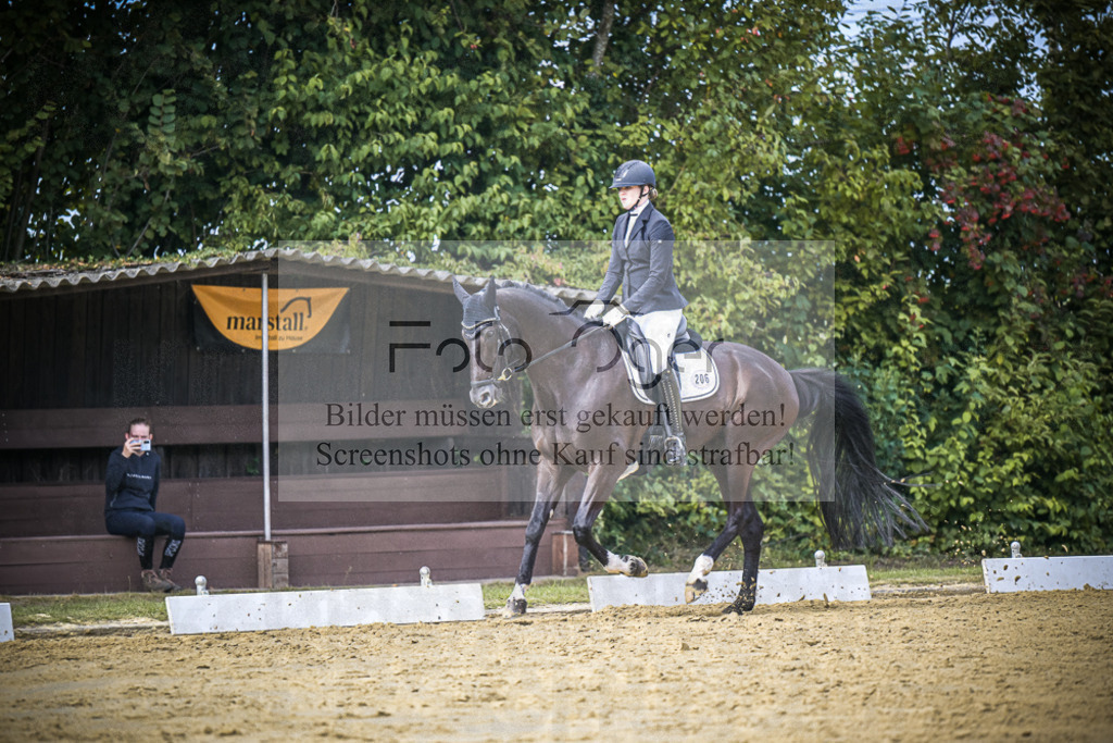 DOS_6320 | Entdecke hochwertige Reitturnierfotos von Foto Oger. Professionell, emotional und authentisch – jetzt Lieblingsmomente im Shop bestellen.Deutschlandweite Turnierfotografie. - Realisiert mit Pictrs.com