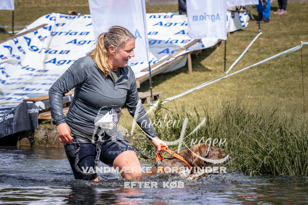 _ZZ934600939 | kk-dogfotos